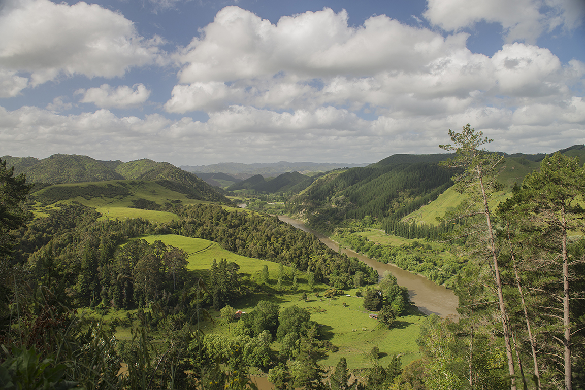 Aramoana Summit view of the Whanganui River Valley in Whanganui National Park