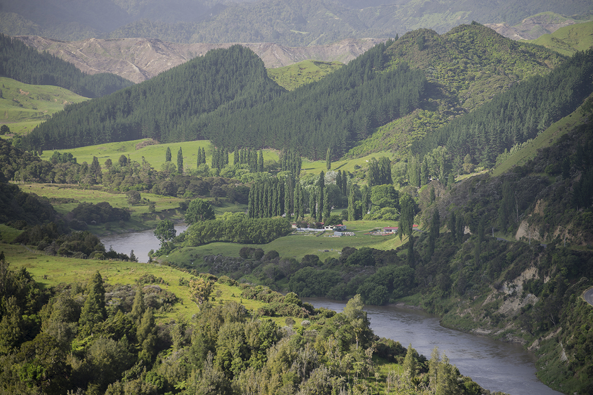 Whanganui River Valley in Whanganui National Park
