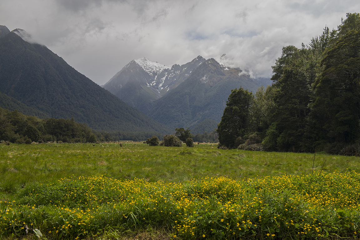 Hollyford Valley on the Mlford Road