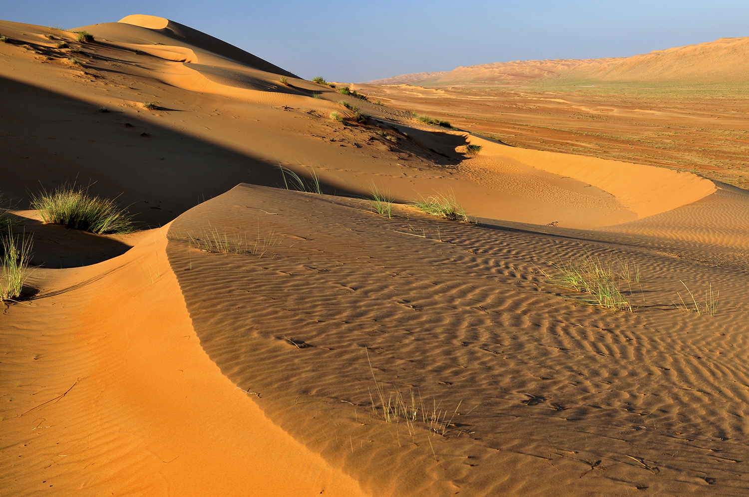 Wahiba Sands, Ash Sharqiya, Oman