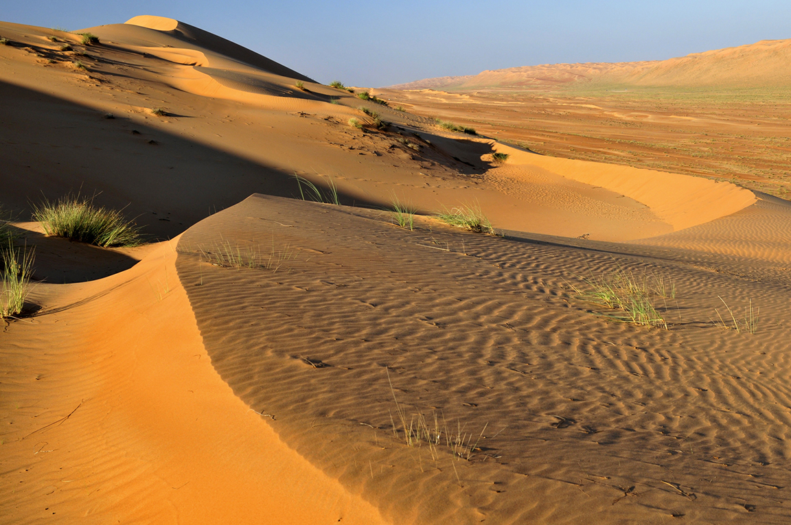 Wahiba Sands, Ash Sharqiya, Oman