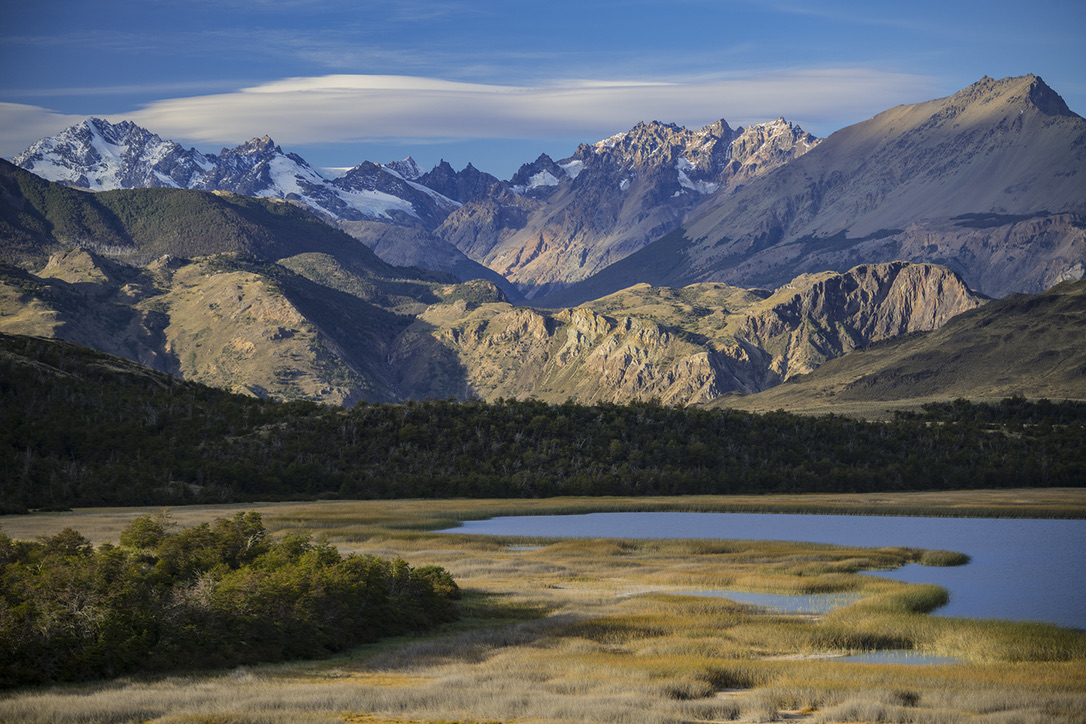 Picaflor y Aguila, Parque Nacional Patagonia, Chile