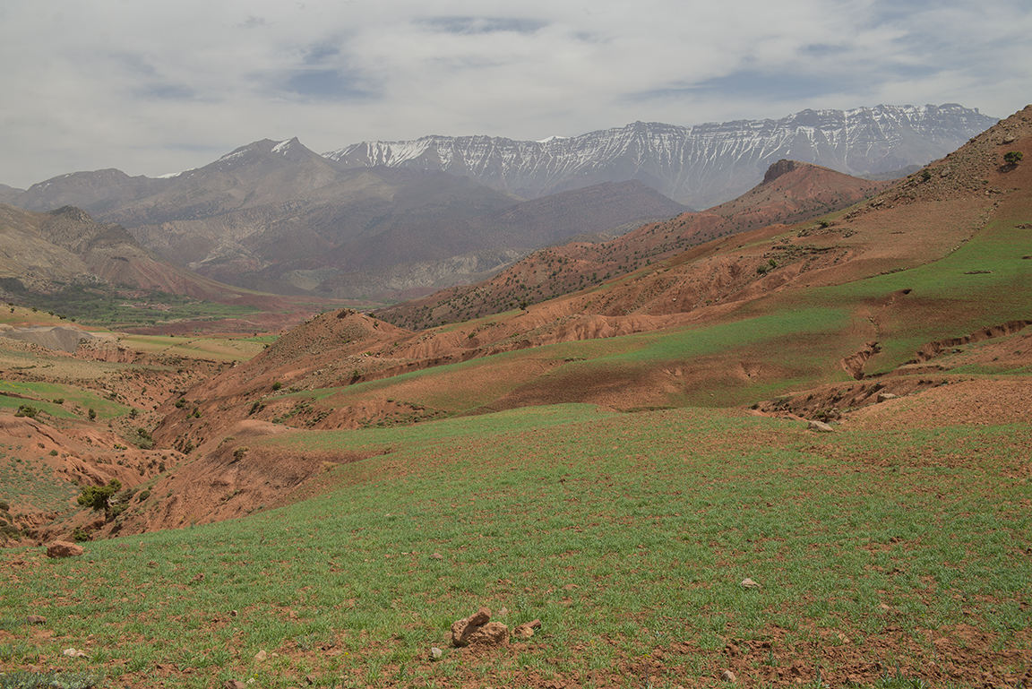 View of the High Atlas Mountains
