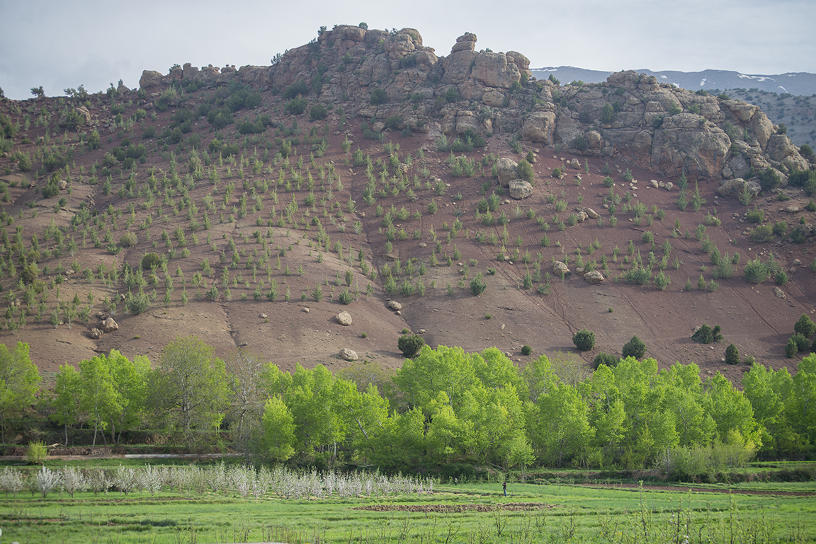 View of the Ait Bougoumez Valley