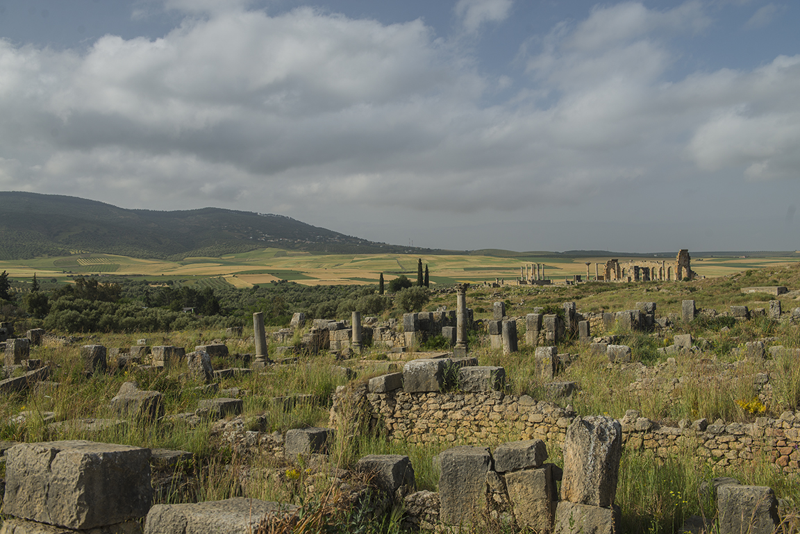 Stacks Image 137