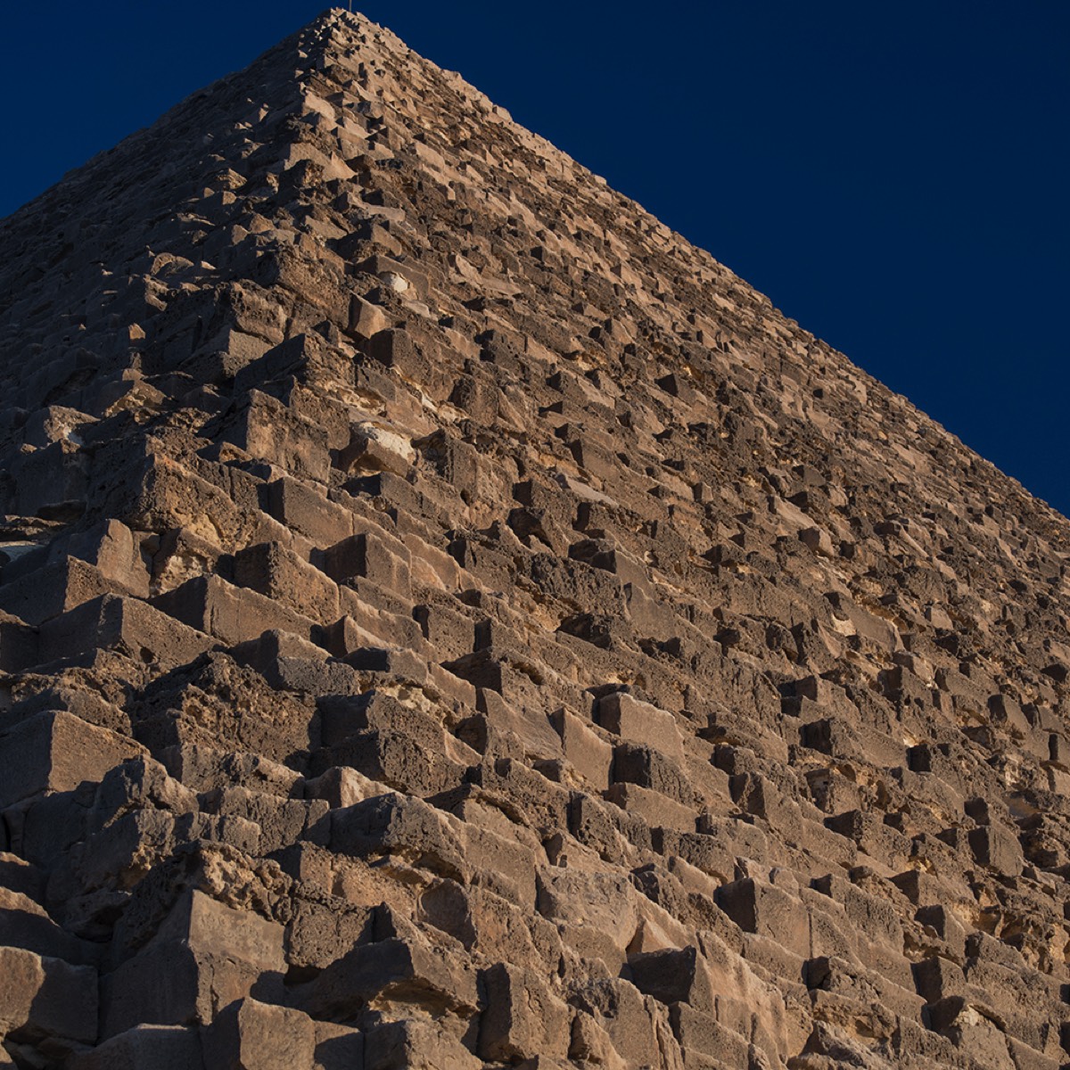 Stacks Image 653