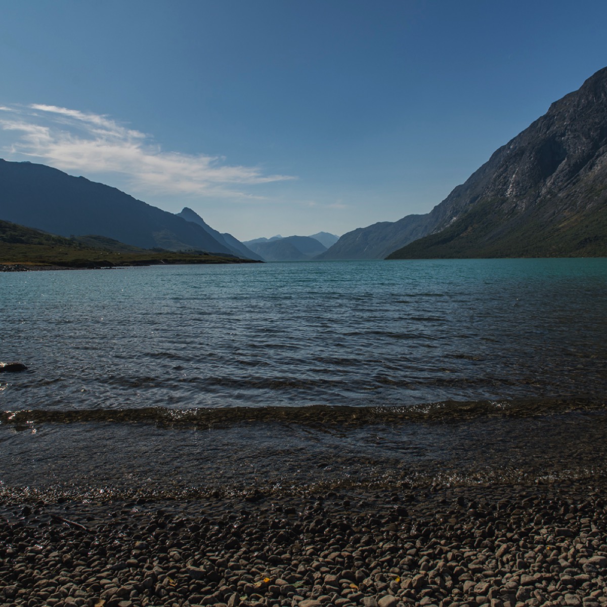 Stacks Image 741