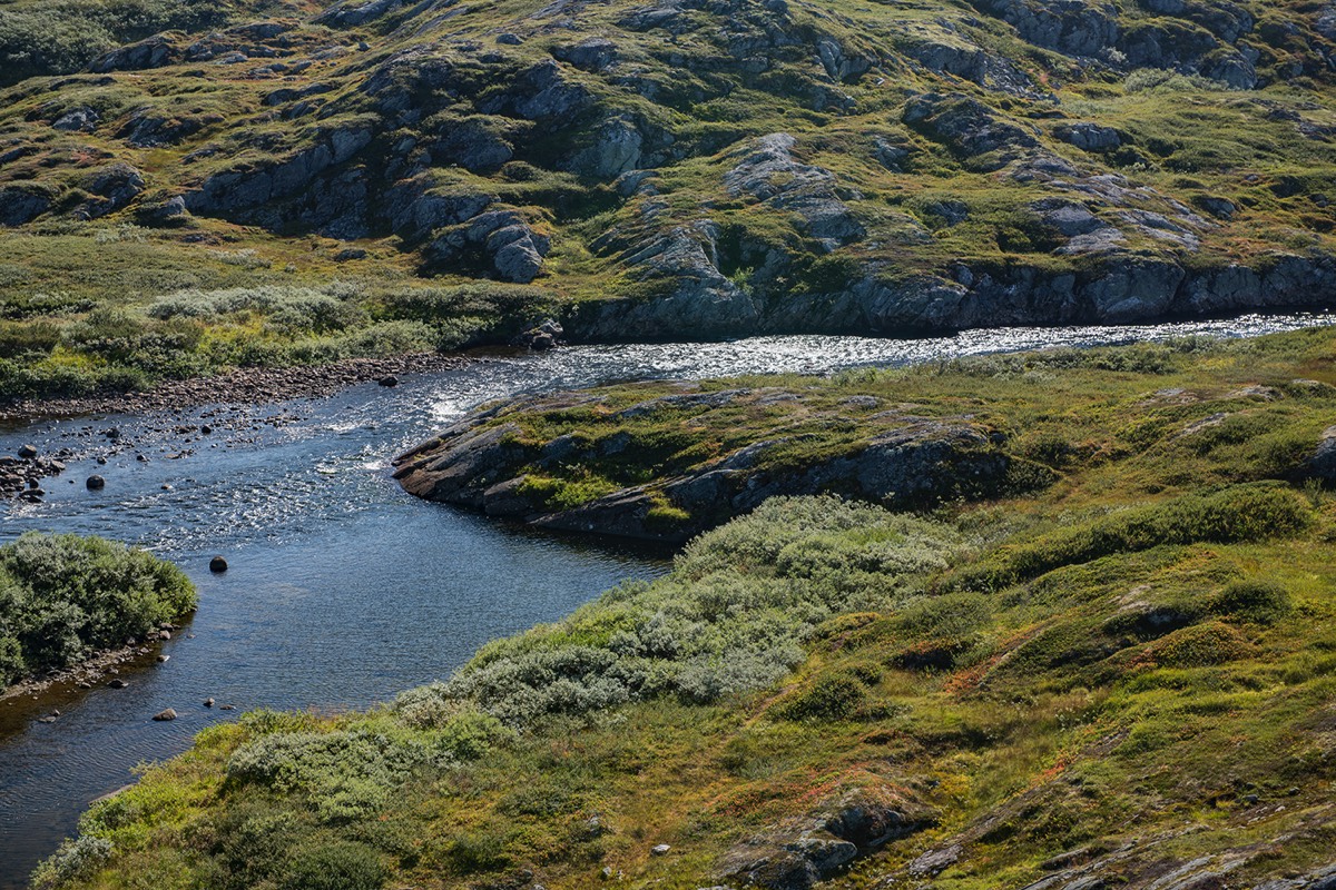 Stacks Image 86