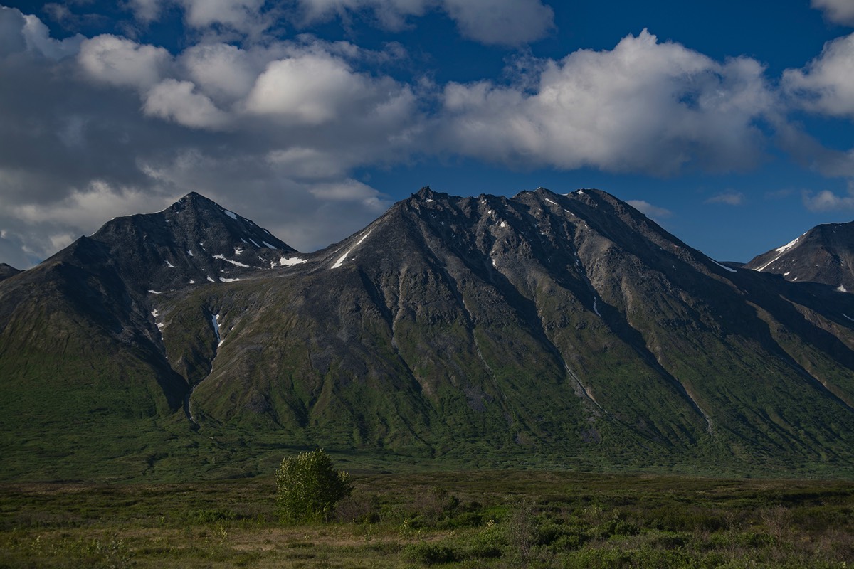 Stacks Image 140