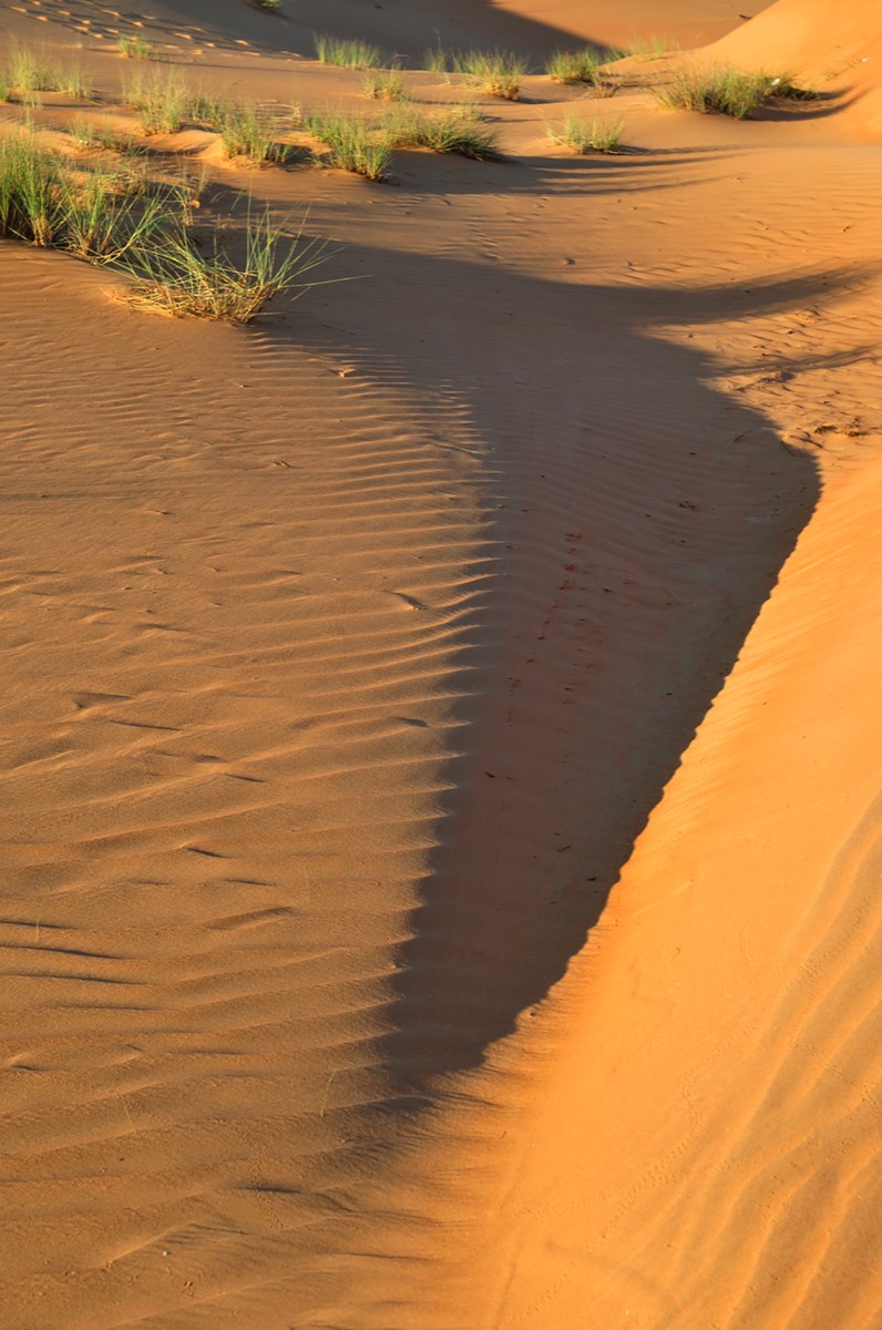 Stacks Image 69