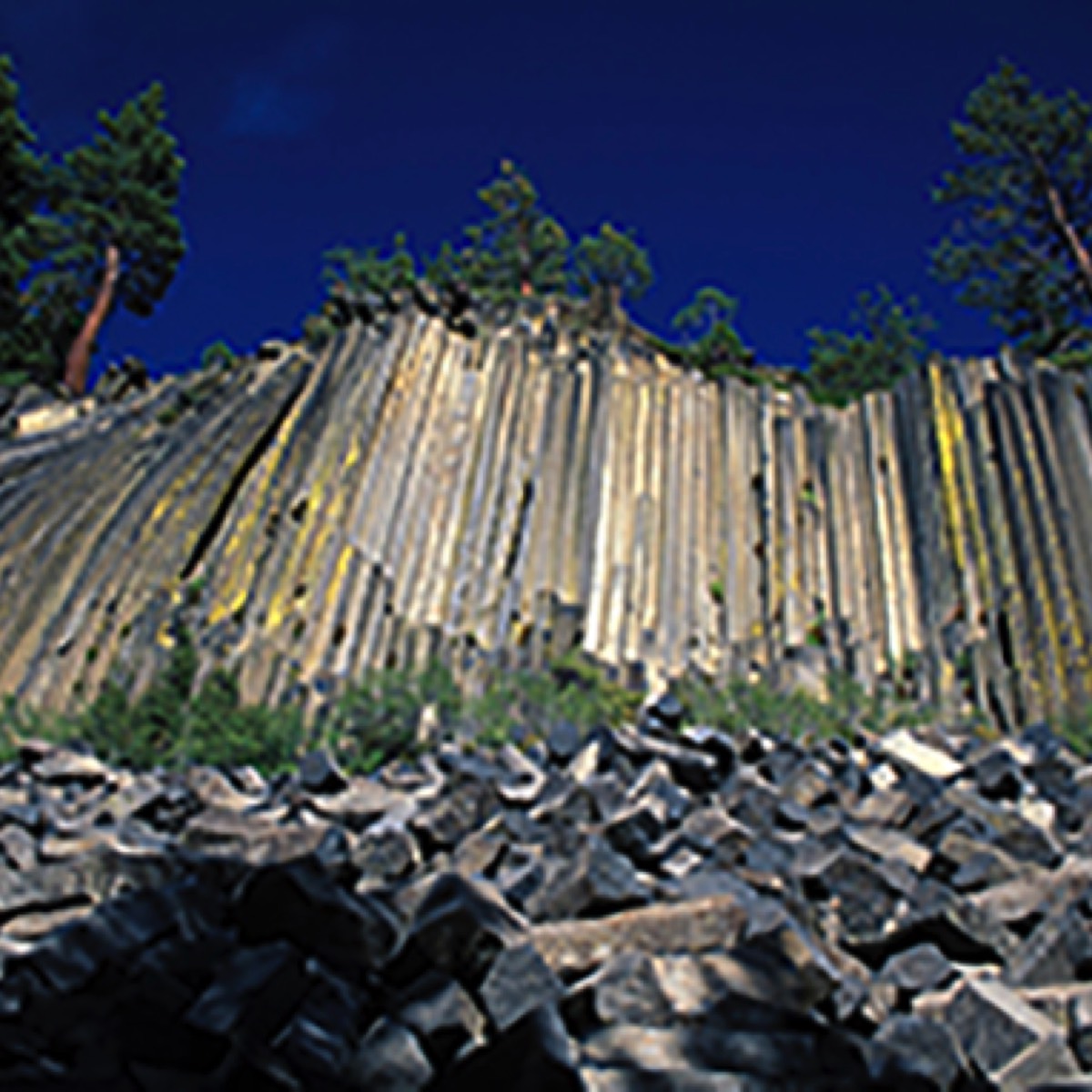 Stacks Image 782