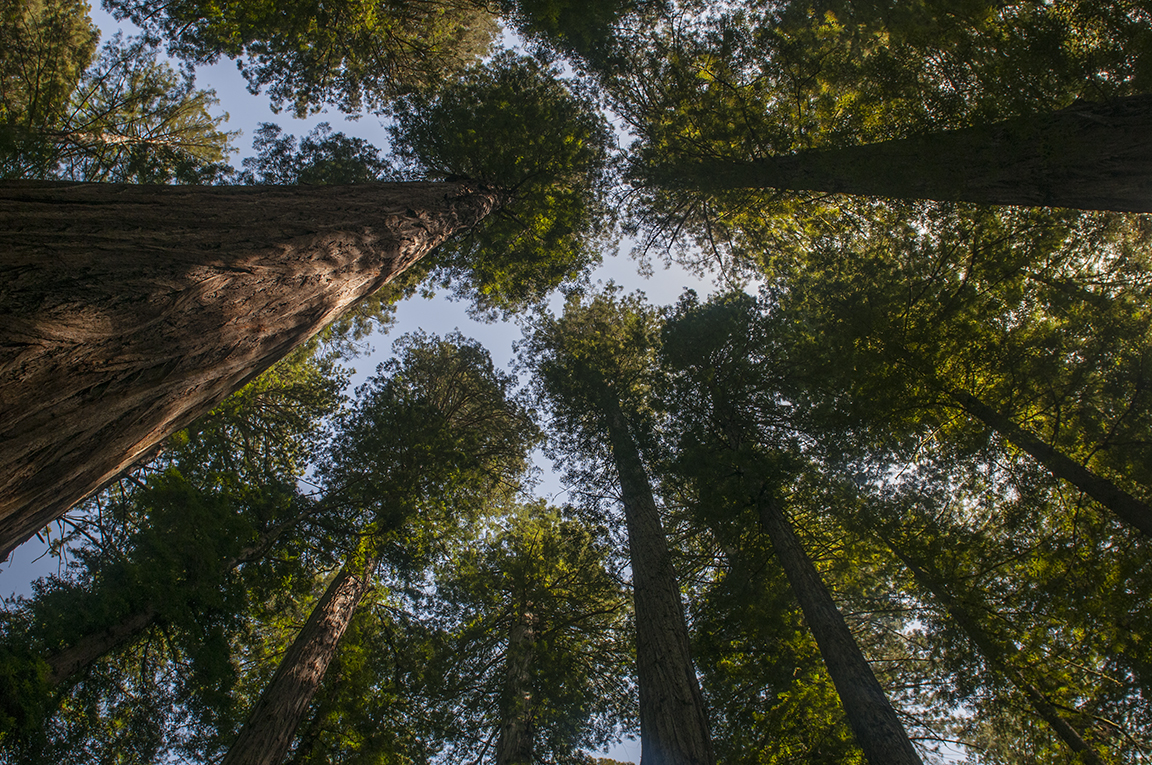 Stacks Image 120
