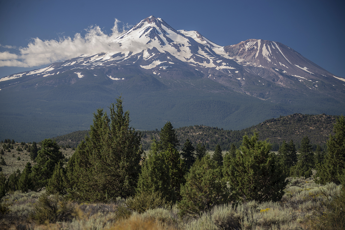 Stacks Image 42