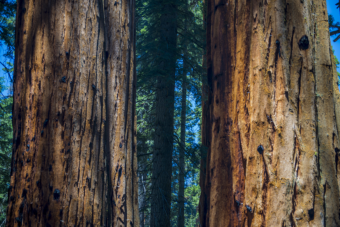 Stacks Image 86