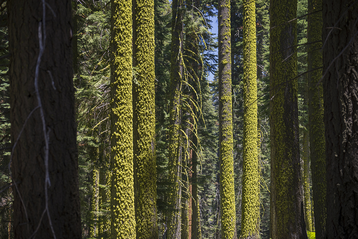 Stacks Image 72