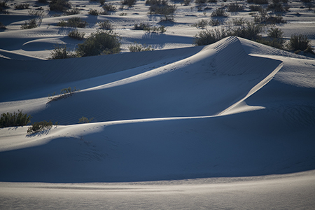 Mesquite Dunes