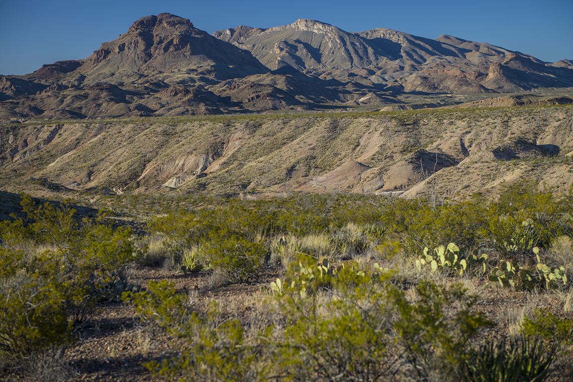 View on the way to Study Butte