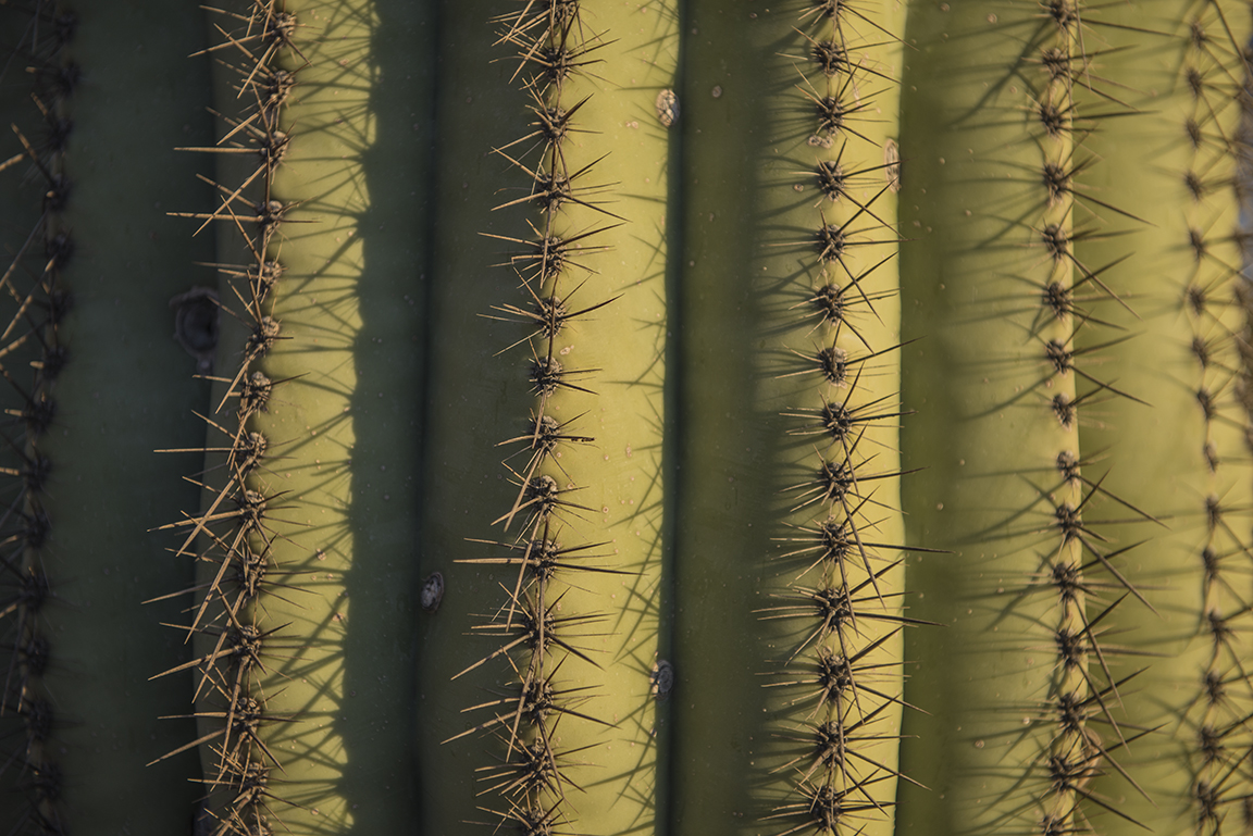 Stacks Image 62