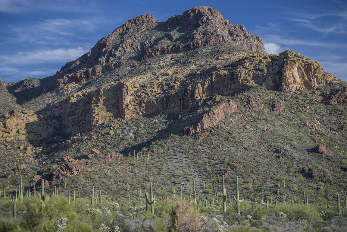 Stacks Image 70