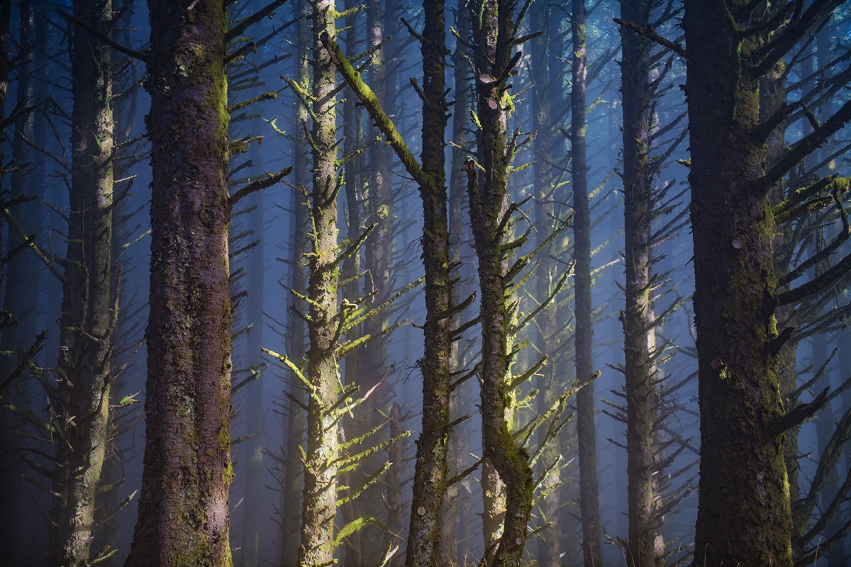 Stacks Image 164
