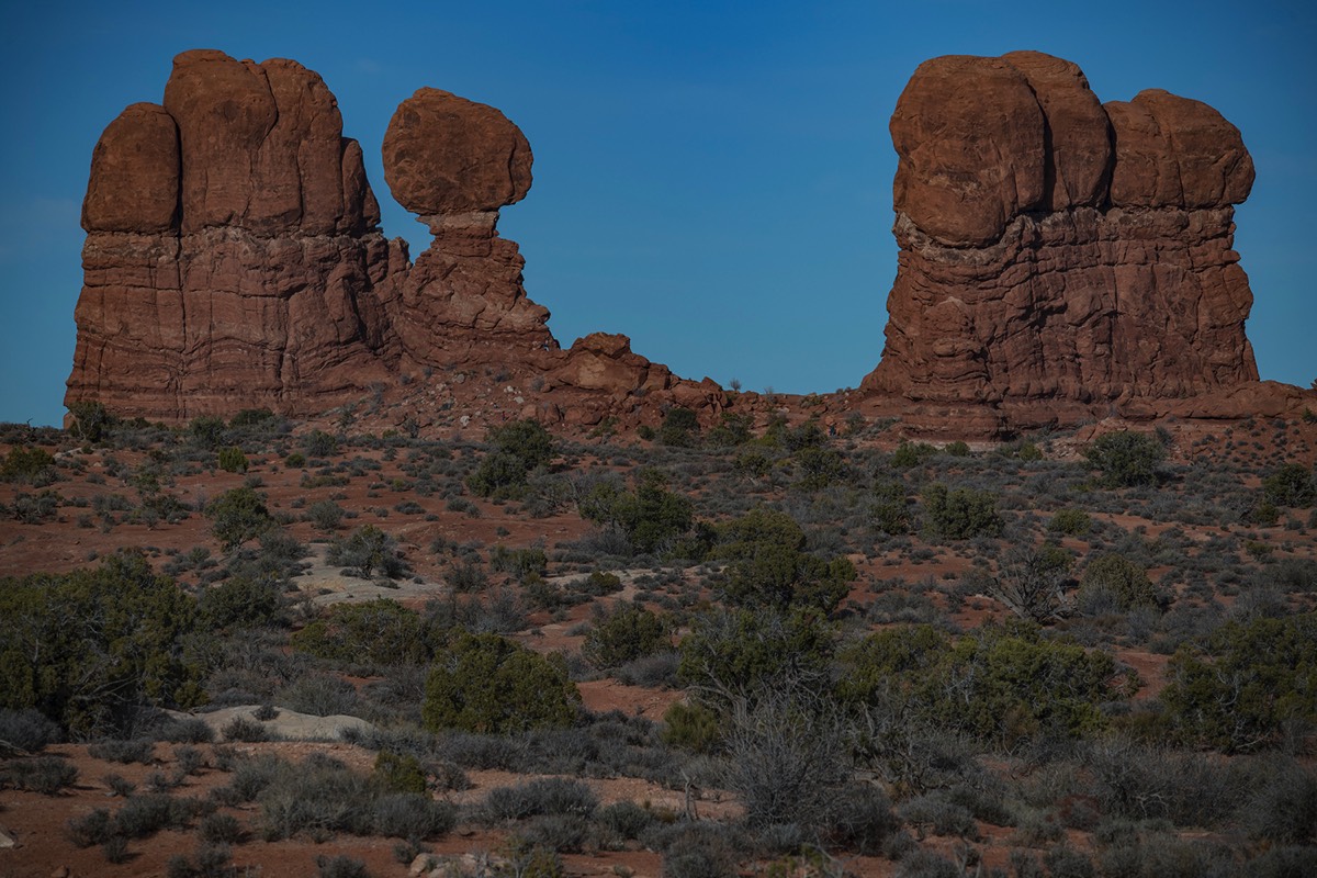 Stacks Image 52