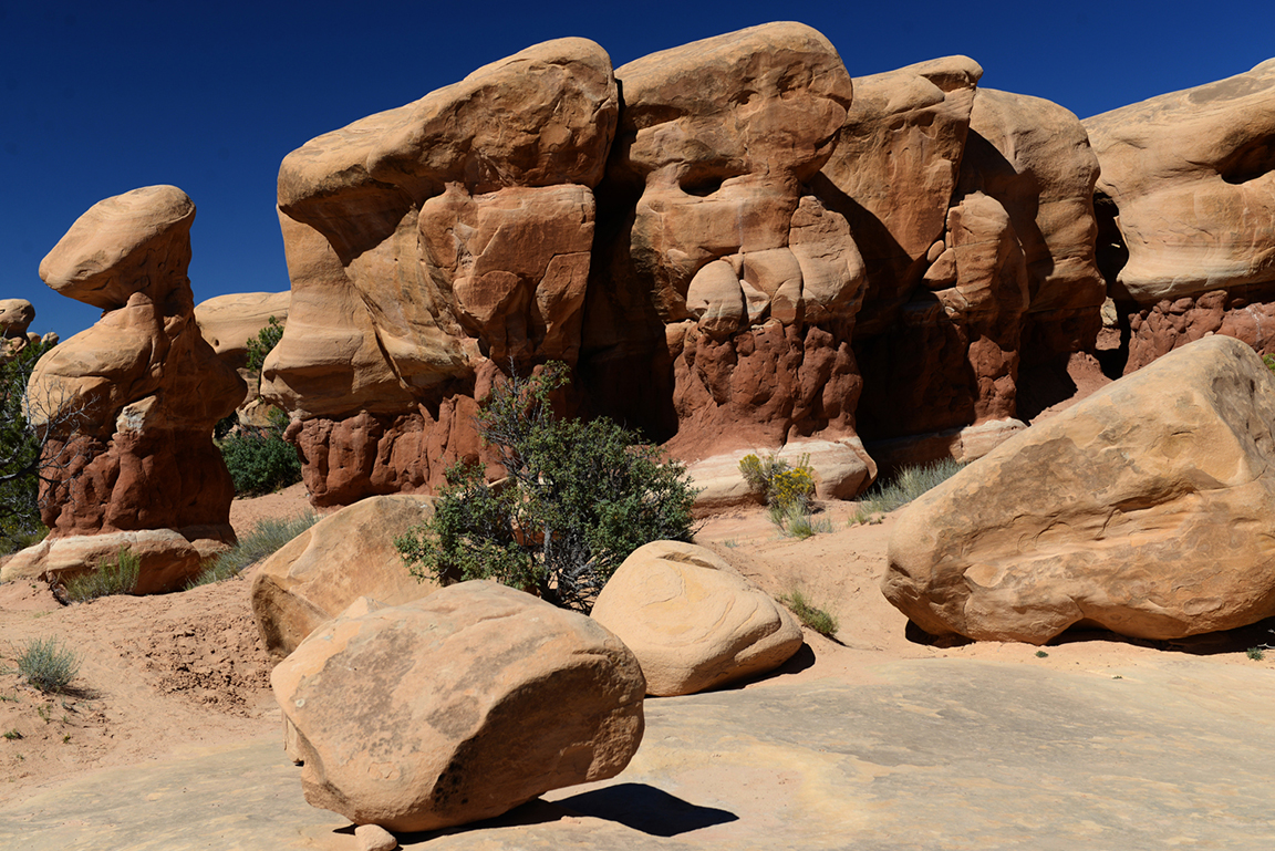 Stacks Image 82