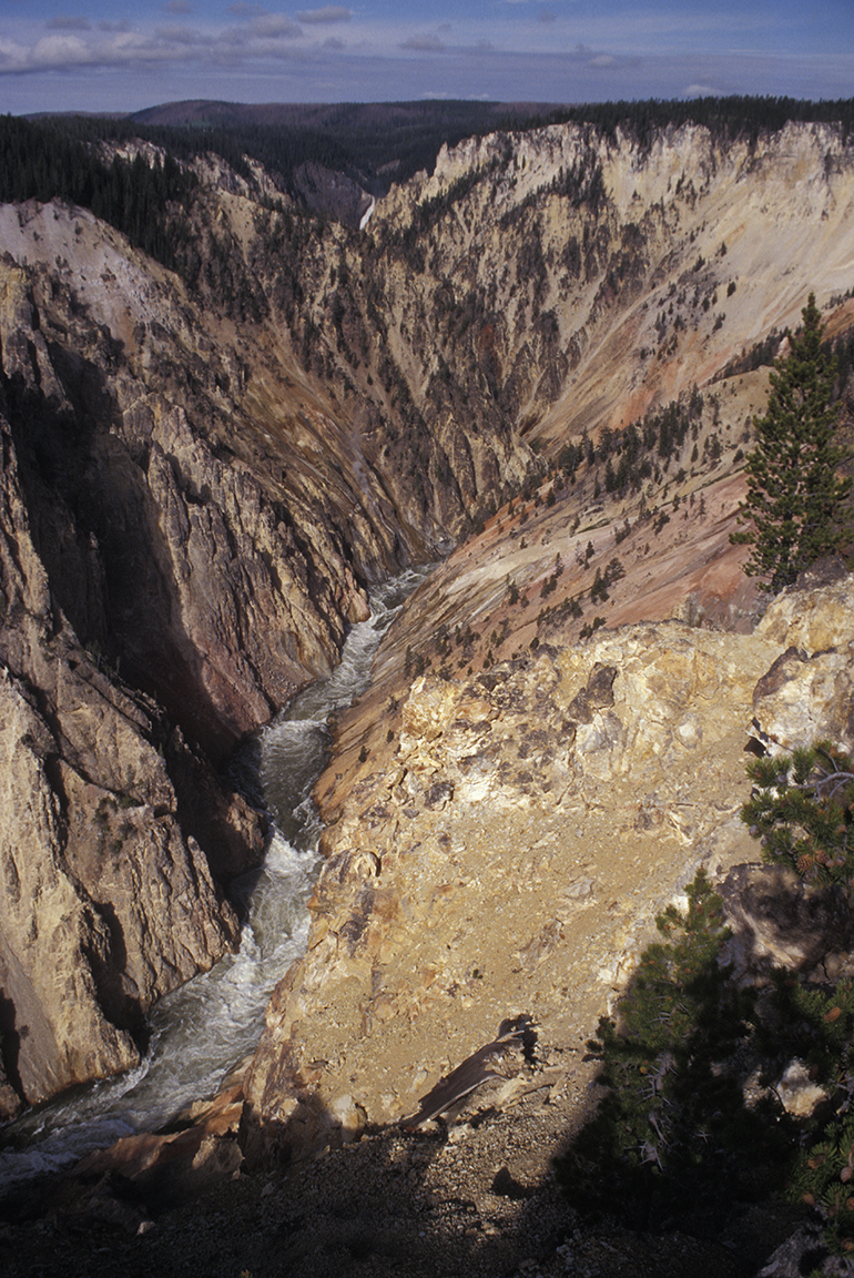 Stacks Image 56