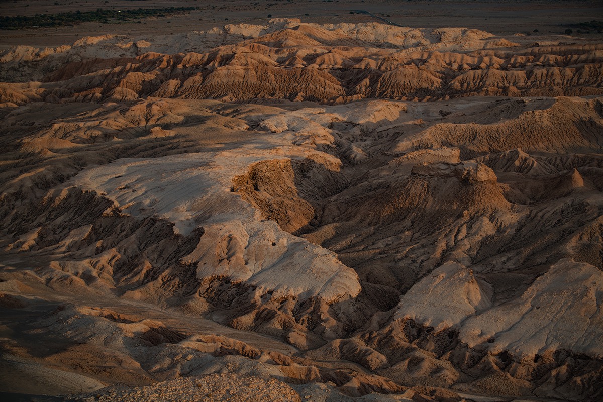 Stacks Image 4919