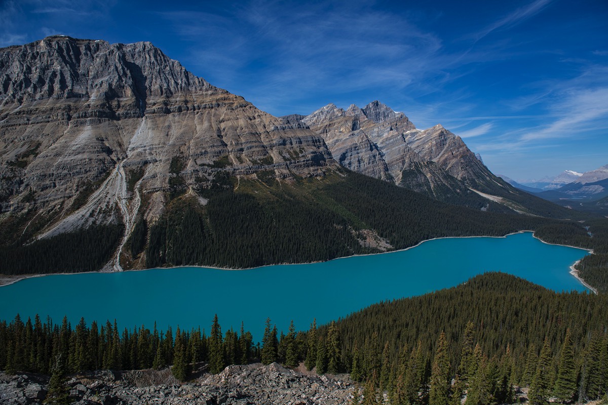 Stacks Image 4621