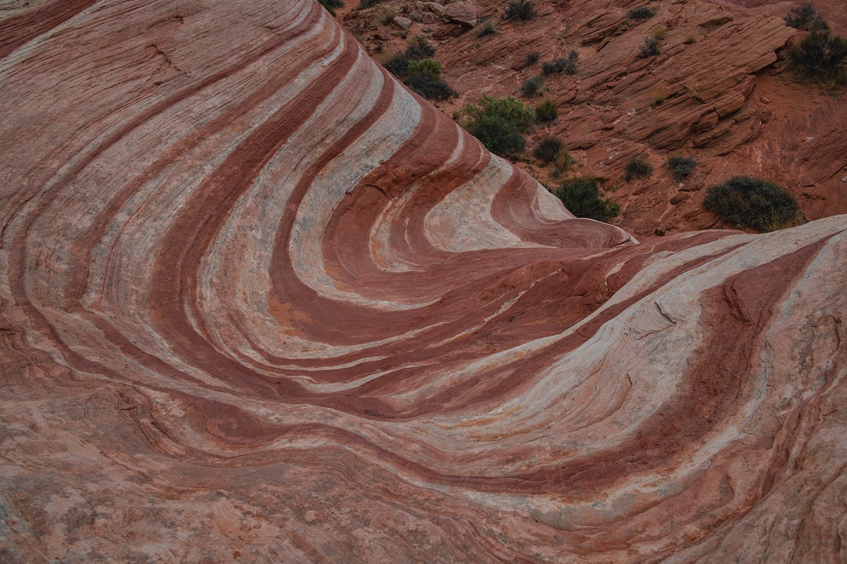 Stacks Image 4850