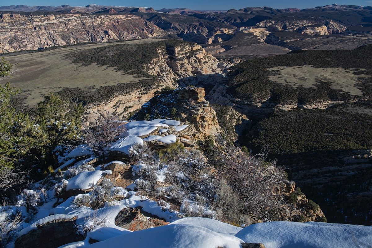 Stacks Image 4989