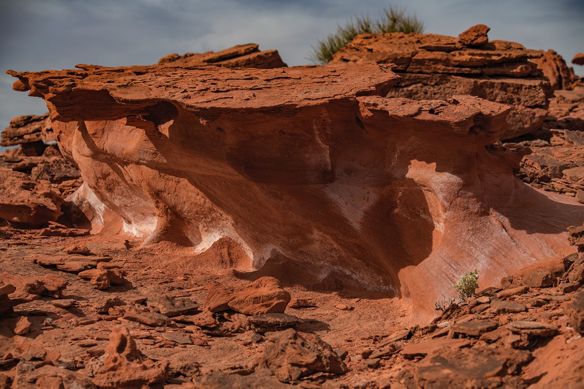 Stacks Image 4796