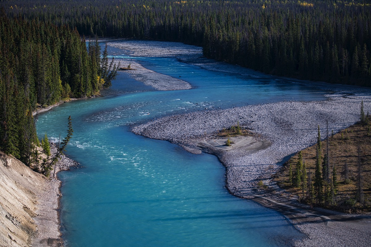 Stacks Image 4624
