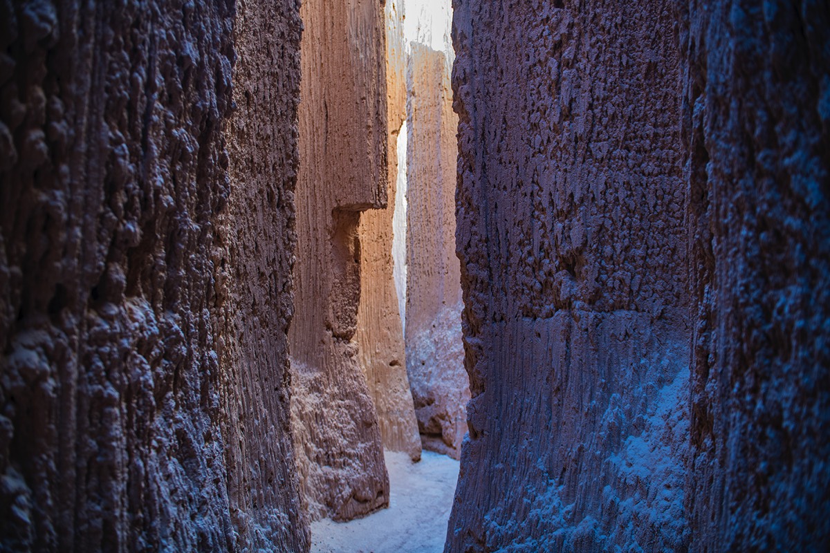 Stacks Image 4925