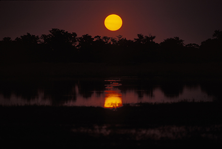 Stacks Image 5418