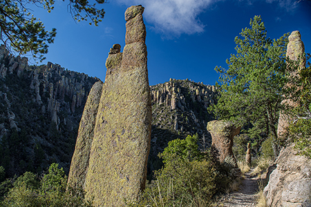 Stacks Image 5803