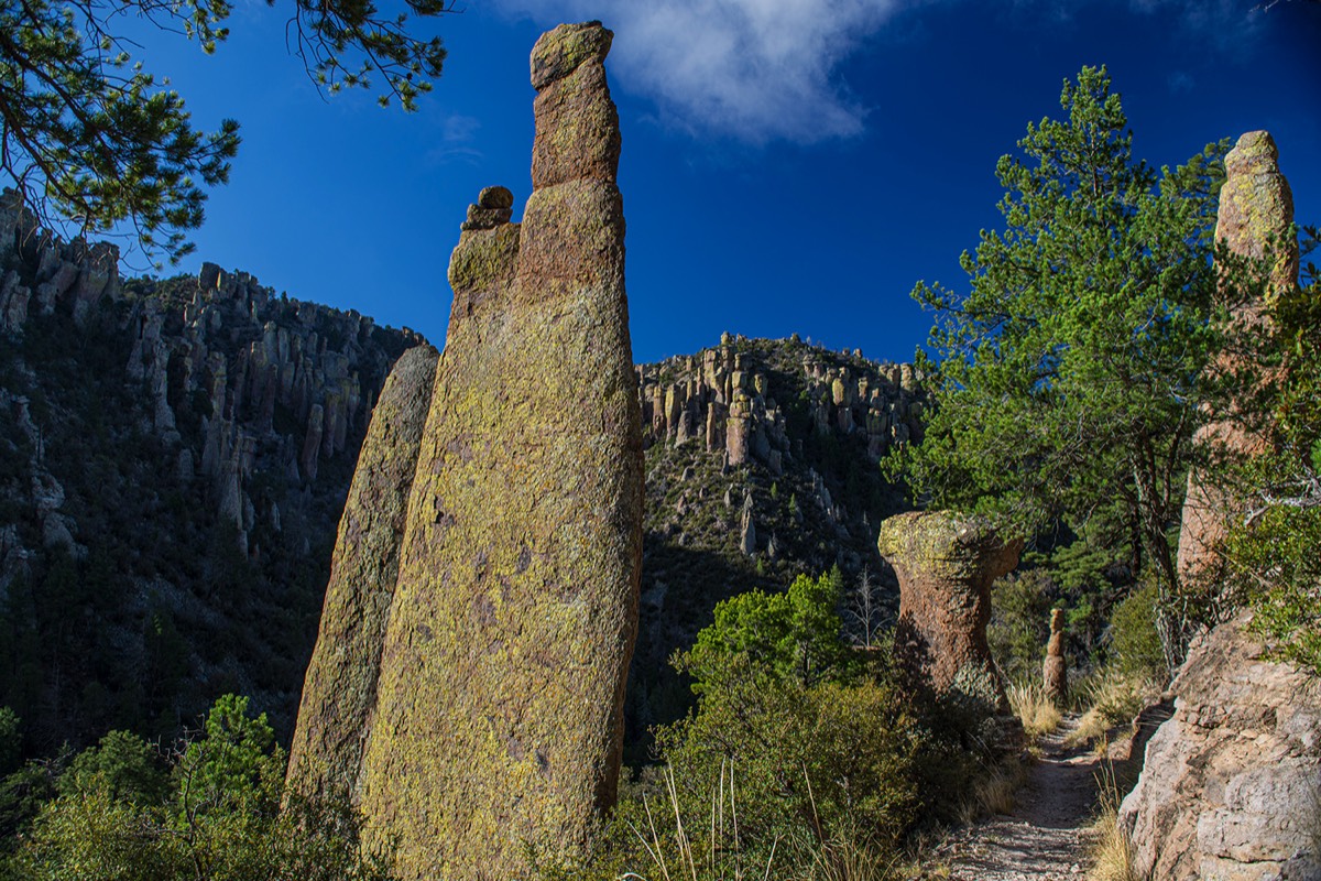 Stacks Image 5755