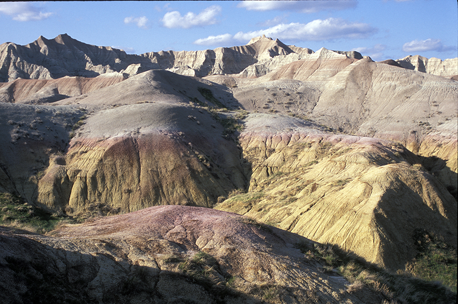 Stacks Image 8856