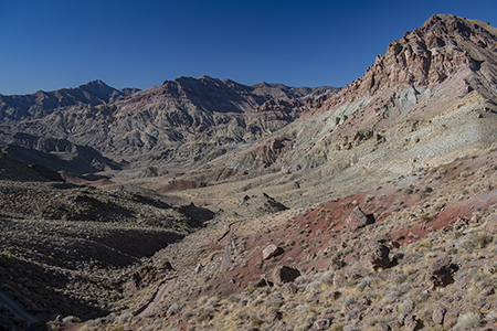 Stacks Image 7315