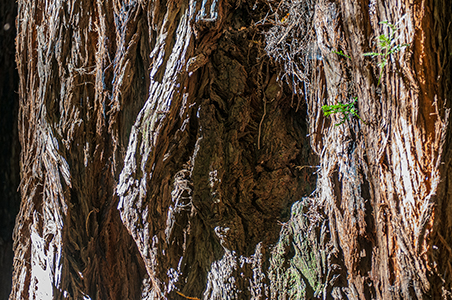 Stacks Image 8537