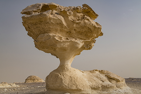 Stacks Image 8576