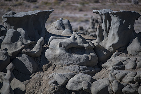 Stacks Image 6836
