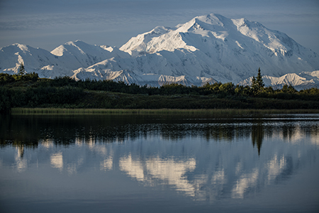 Stacks Image 8022