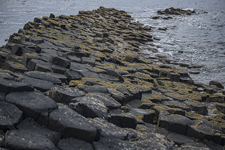 Stacks Image 9325