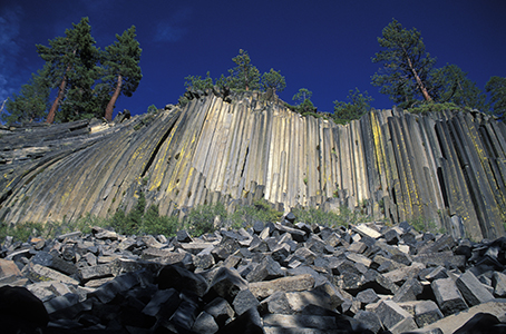 Stacks Image 9311