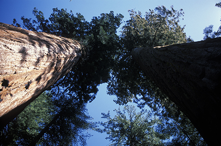 Stacks Image 8901