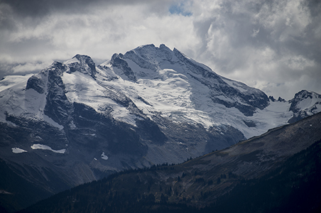 Stacks Image 8105