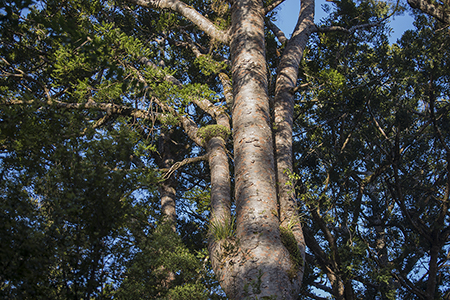 Stacks Image 8886