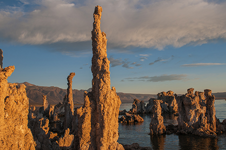 Stacks Image 9122