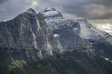 Stacks Image 8101